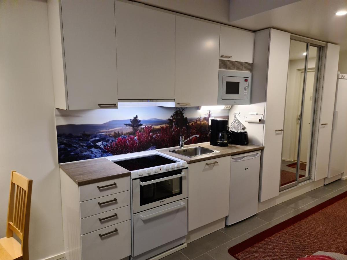 Levibooking Lost In Levi Apt 305 Kittila  Luaran gambar